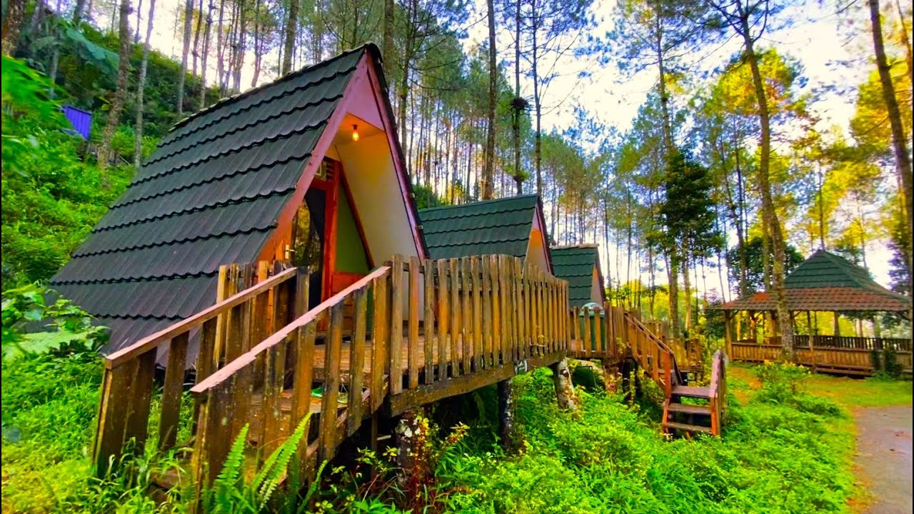 Telomoyo Nature Park: Menjelajahi Pesona Alam Jawa Tengah